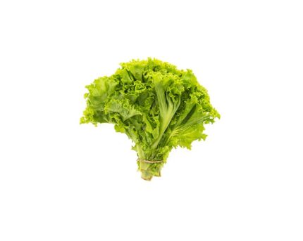 Lettuce 500g